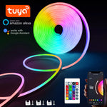 Bande LED néon RGB 1/2/3/5M