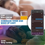 Bande LED RGB Multicolore – Contrôle App